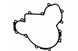 Polaris 5813505 Gasket-Ignition Cover G-90