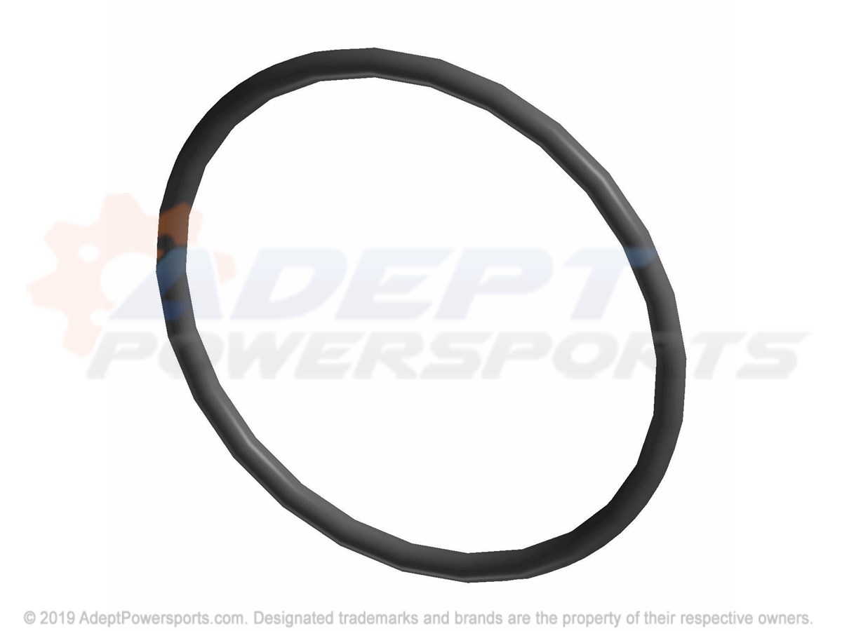 Polaris 5413863 O-Ring 31.45X1.778