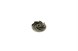 Polaris 5438796 Impeller-Waterpump