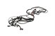 Polaris 2411657 Harness-Chassis Efi Reg Rec