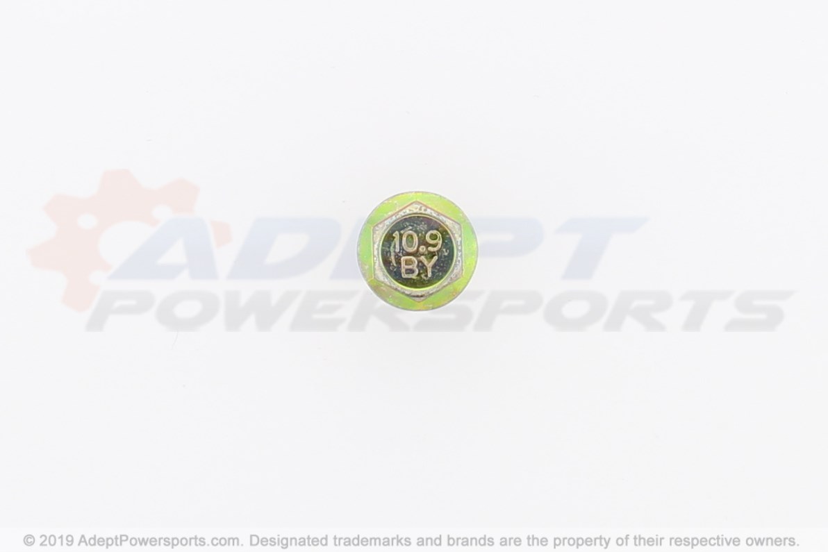 Can-Am 250000060 Hex. Flanged Screw M10 X 16 (Scotch Grip)