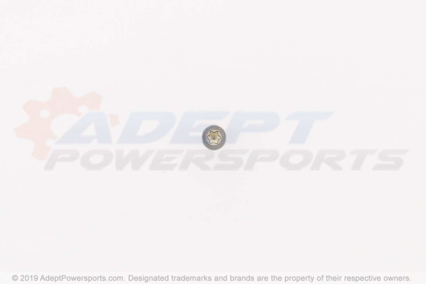 Sea-Doo 250000319 Screw-Ctsk.Fl.Hd.Torx. M5x12