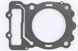 Victory 5249360 Gasket-Head, Double, Layer