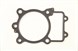 Victory 5244365 Gasket-Base, Double, Layer