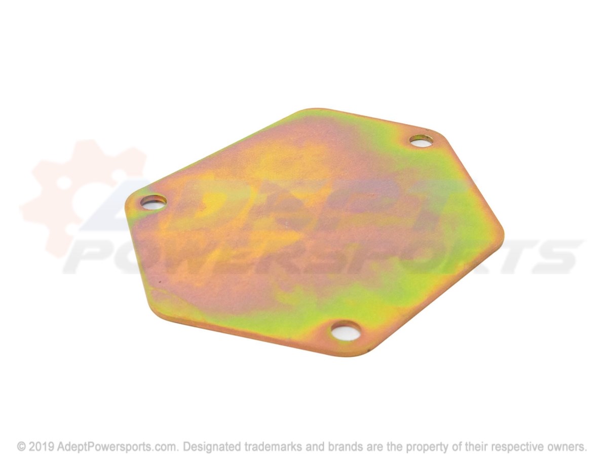 Polaris 5256950 Guard, Plate, Oil, Filter