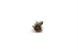 Polaris 7052561 Thermostat