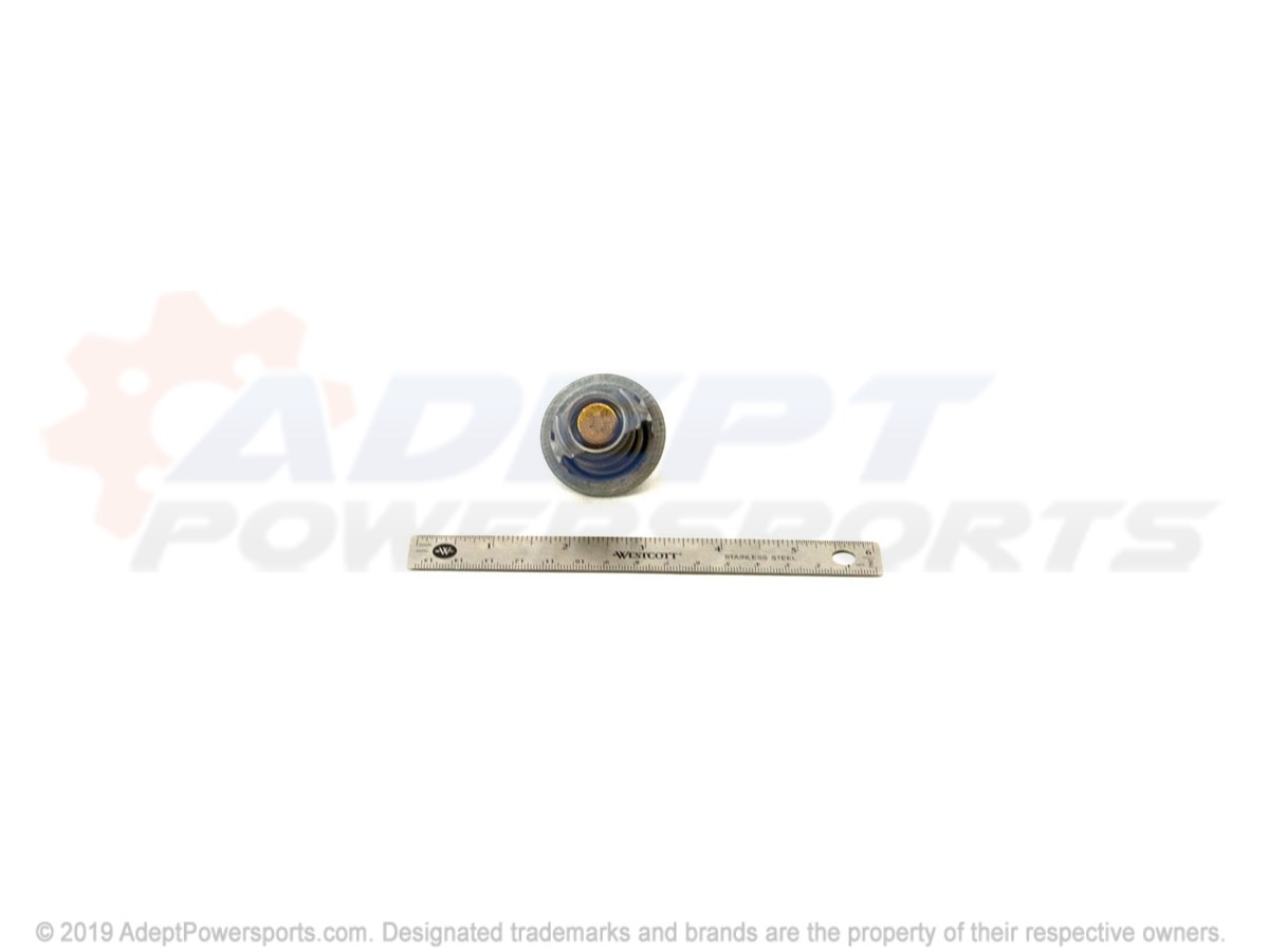Polaris 7052561 Thermostat