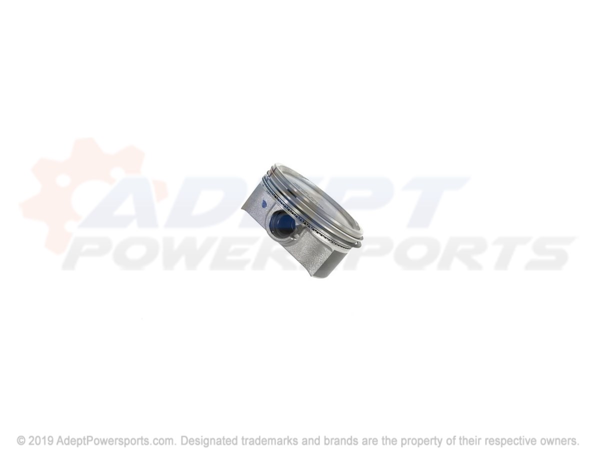Polaris 2204958 Kit, Piston