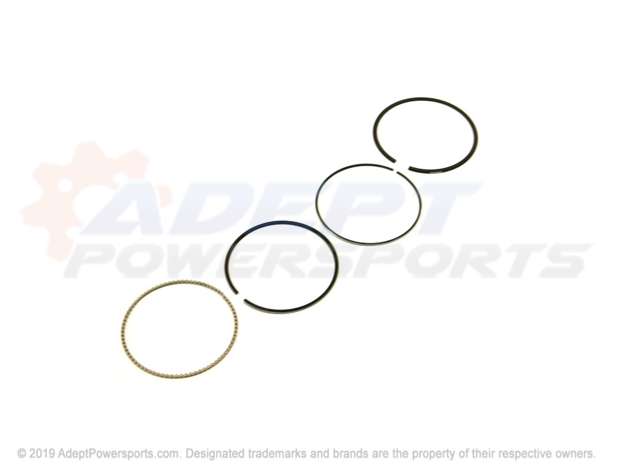 Polaris 2204959 Kit, Piston, Rings