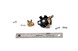 Polaris 3090332 Set, Brush, Holder