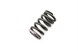 Polaris 7043948 Spring, Valve