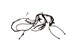 Polaris 2412431 Harness, Main