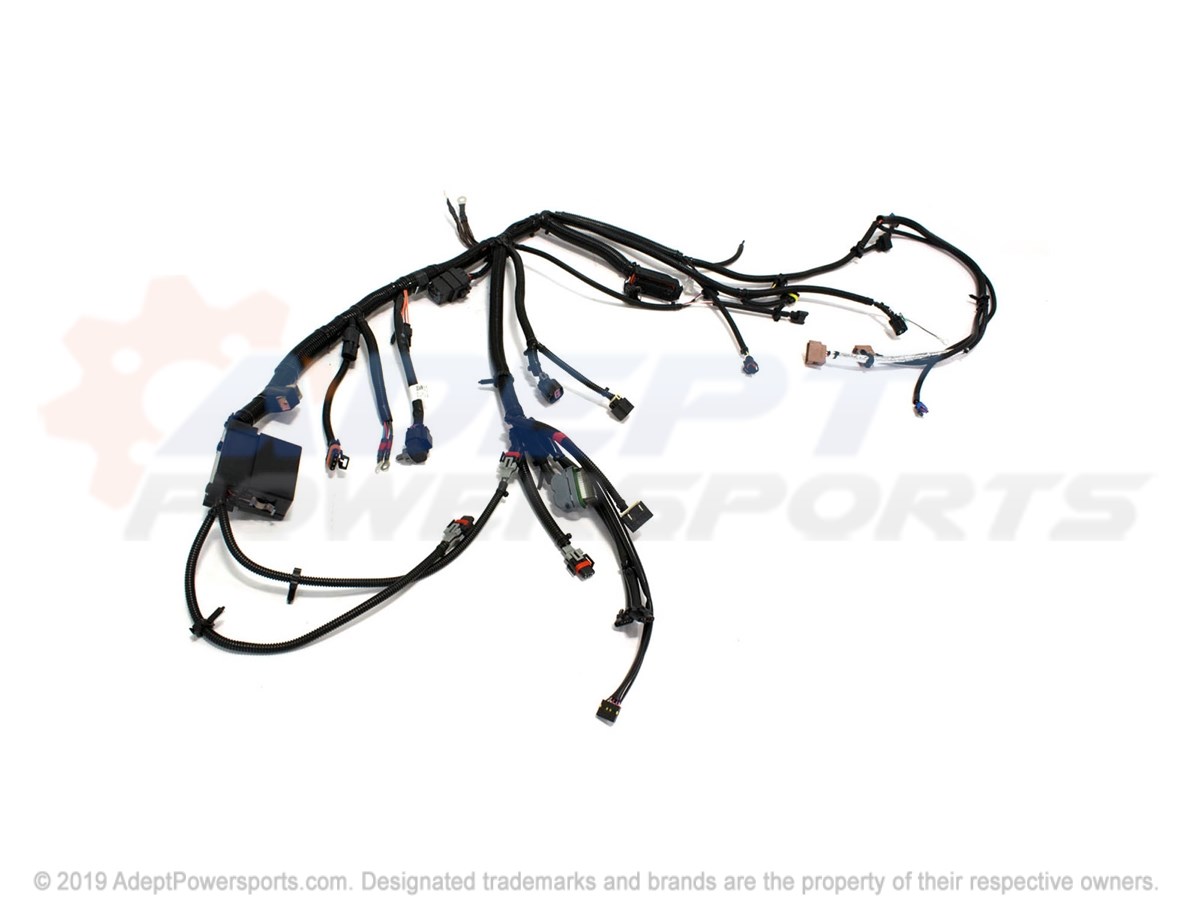 Polaris 2412431 Harness, Main