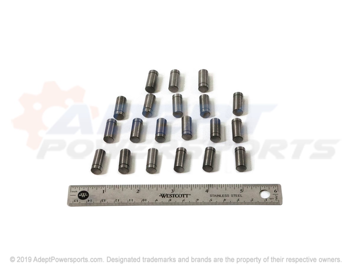 Polaris 3234836 Kit, Roll