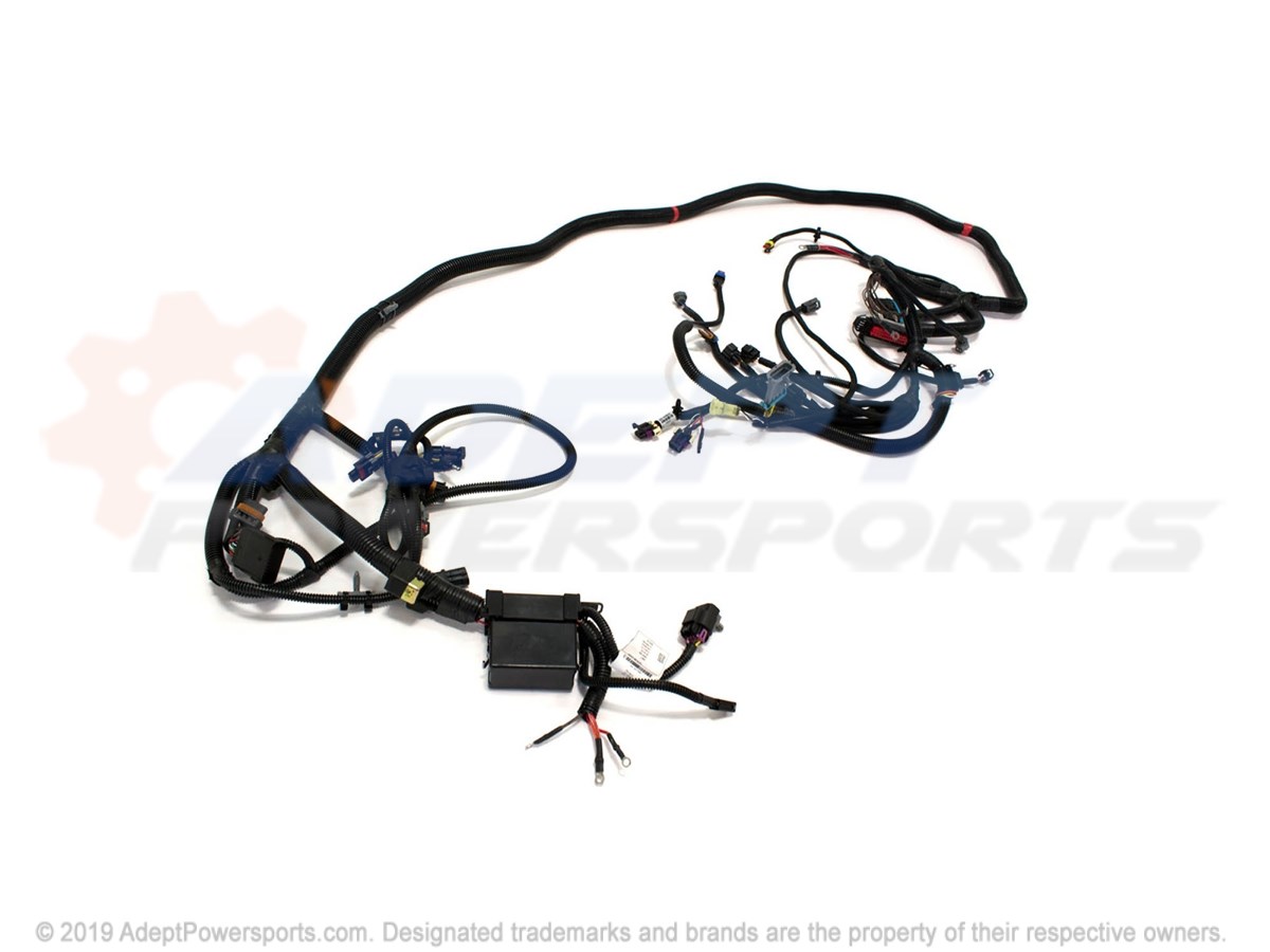 Polaris 2412290 Harness, Chassis