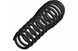 Polaris 7043884-458 Spring, Rear, Matte, Black