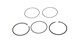 Polaris 2204949 Kit, Piston, Ring