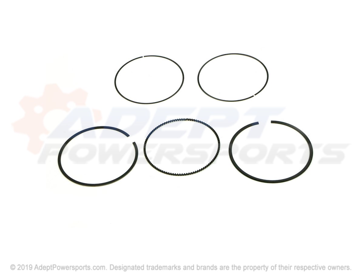 Polaris 2204949 Kit, Piston, Ring