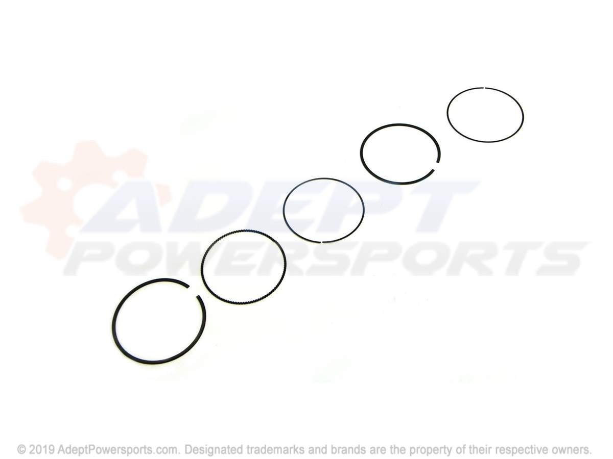 Polaris 2204949 Kit, Piston, Ring