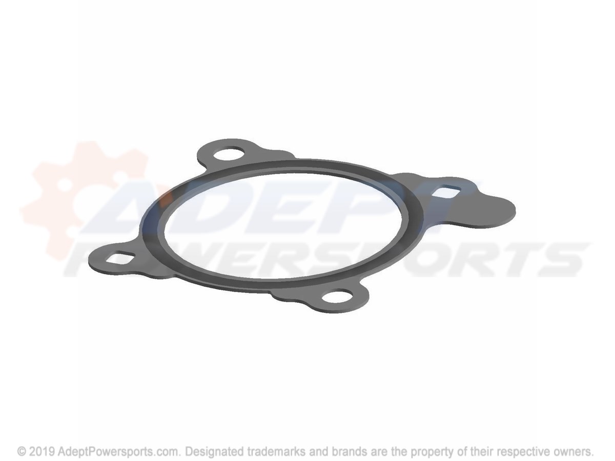 Polaris 5813735 Gasket