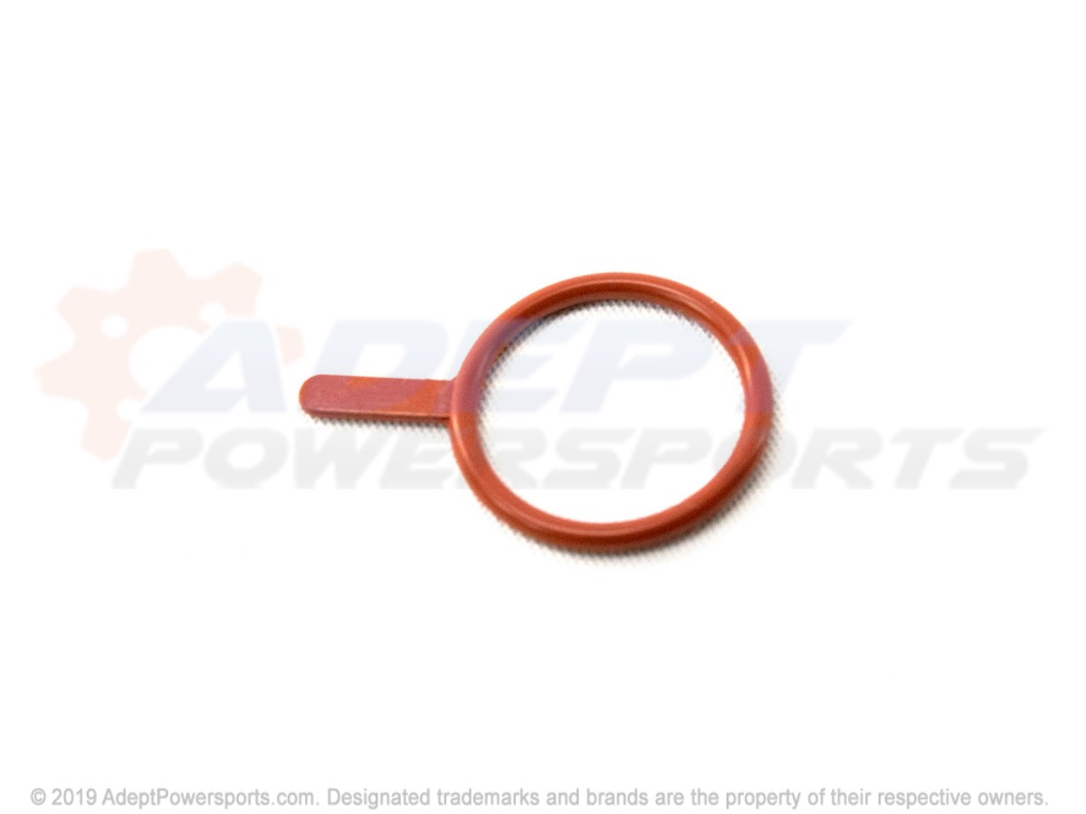 Polaris 3610186 Seal, Oil, Pump