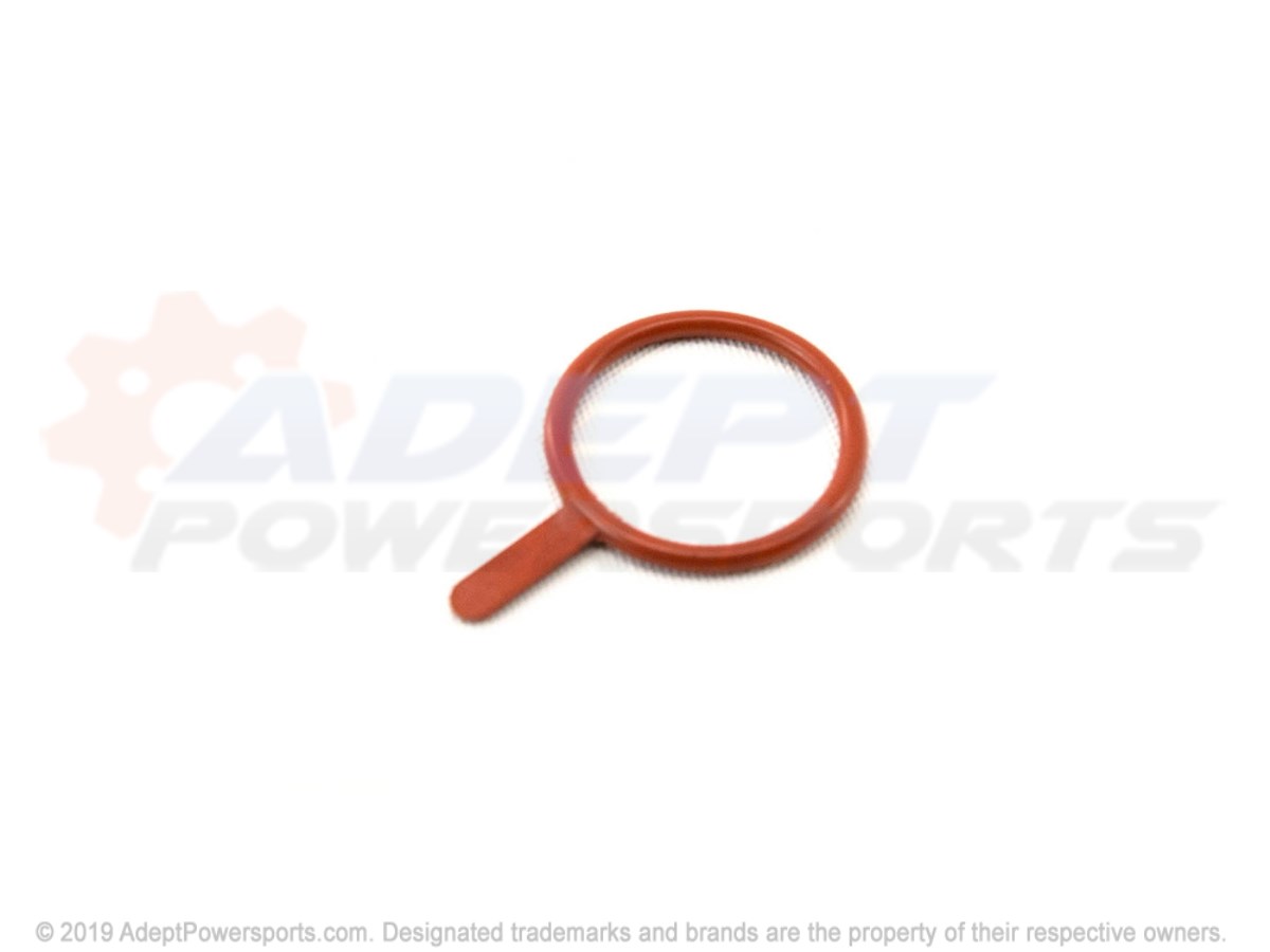 Polaris 3610186 Seal, Oil, Pump