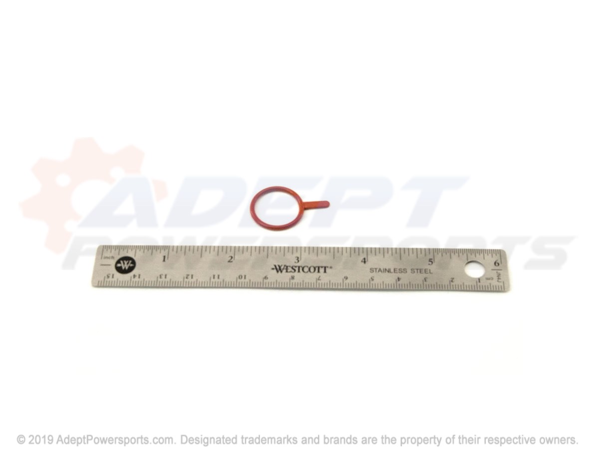 Polaris 3610186 Seal, Oil, Pump
