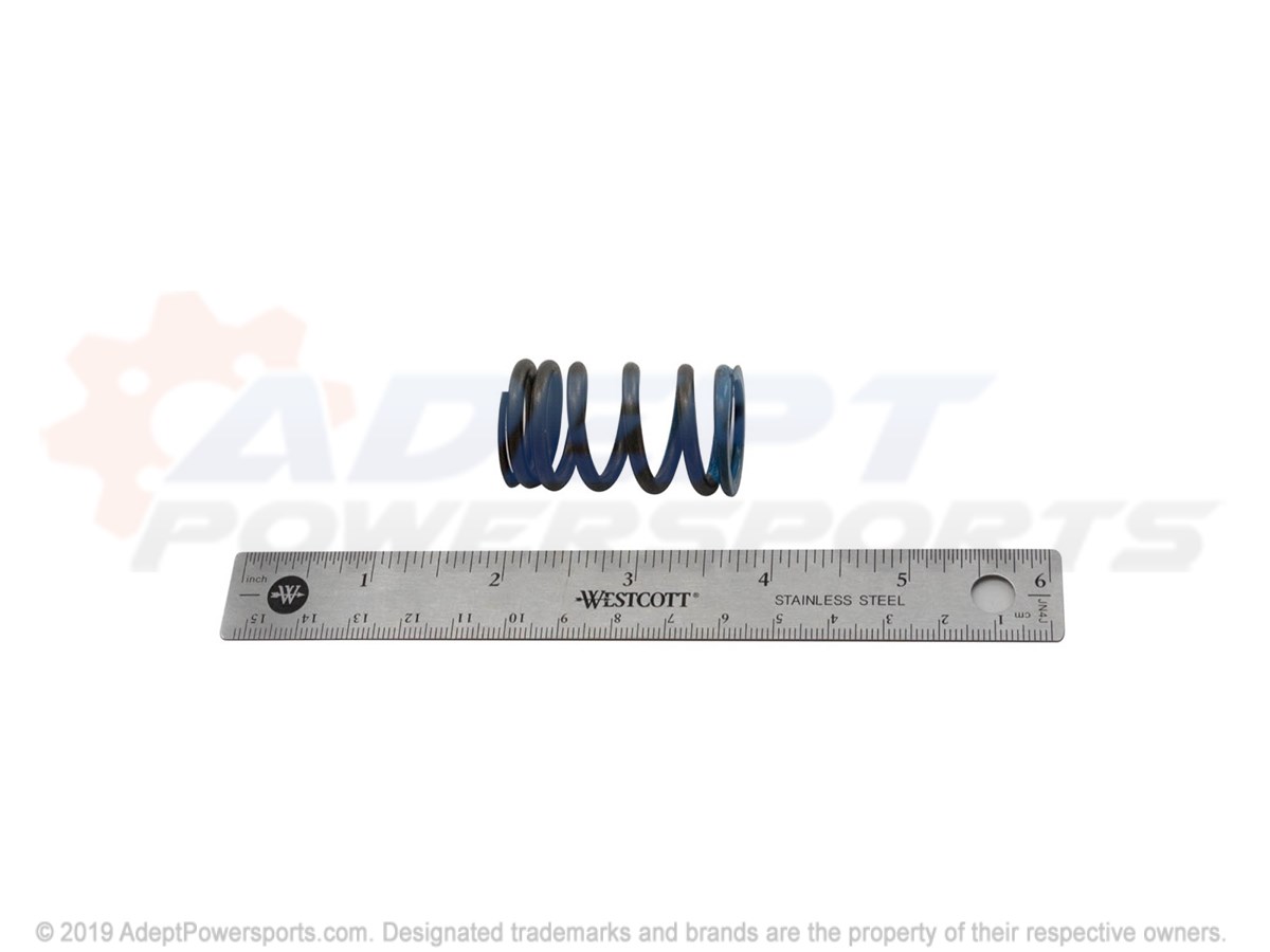 Polaris 7043919 Spring, Valve