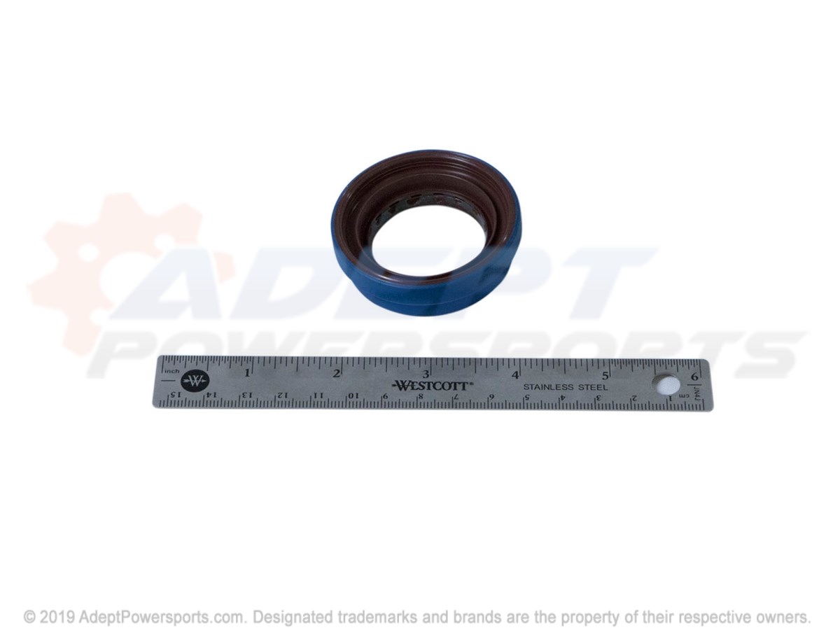 Polaris 3235466 Seal, Dual, Lip