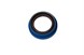 Polaris 3235466 Seal, Dual, Lip