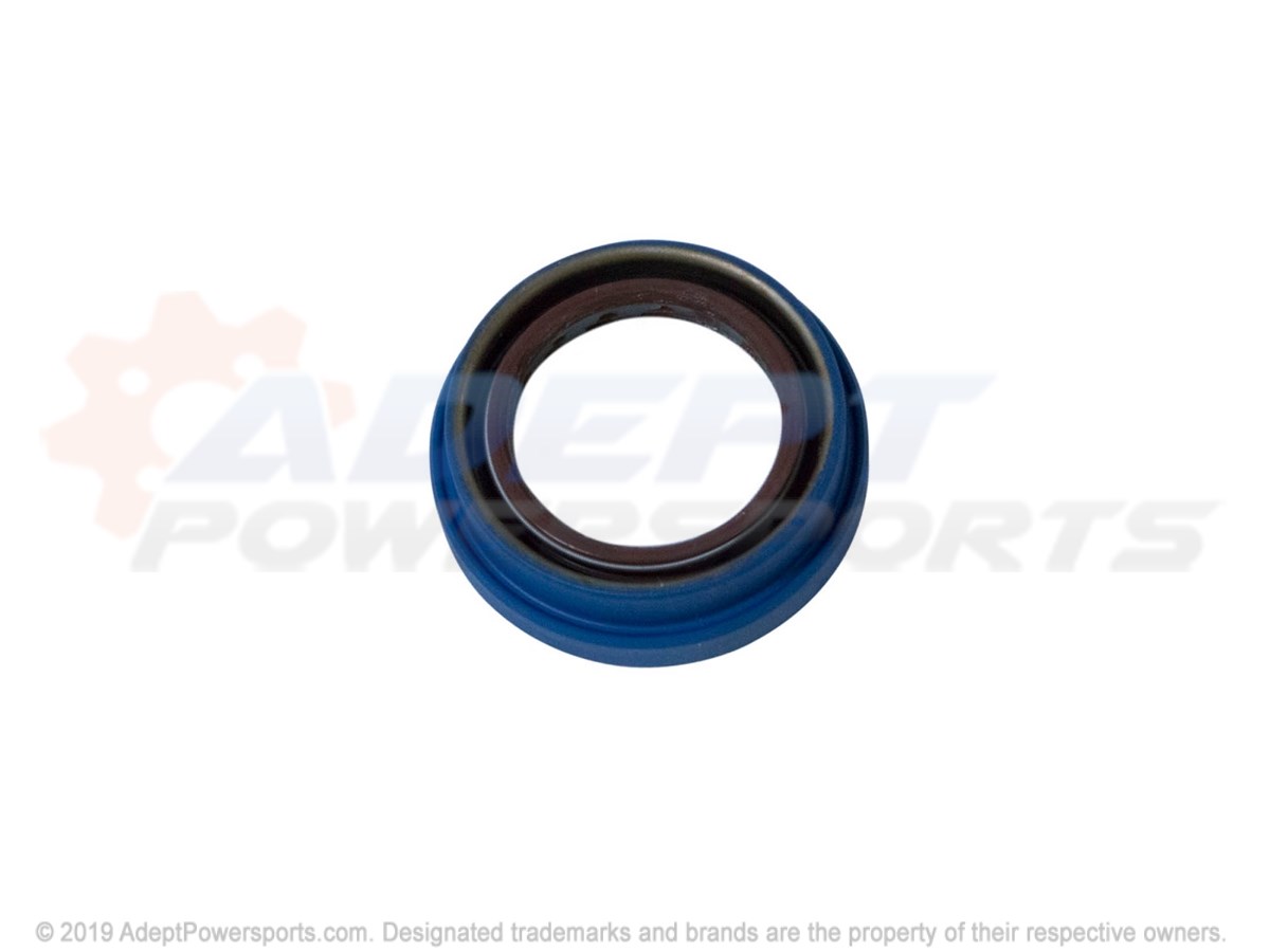 Polaris 3235466 Seal, Dual, Lip