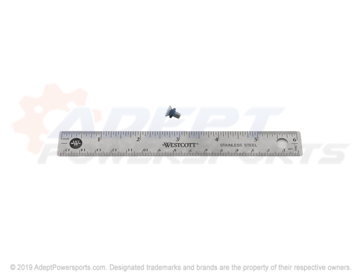 Polaris 1800043 Screw, Bleed