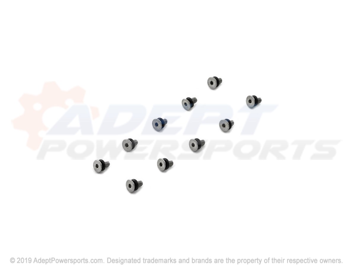 Polaris 1800043 Screw, Bleed