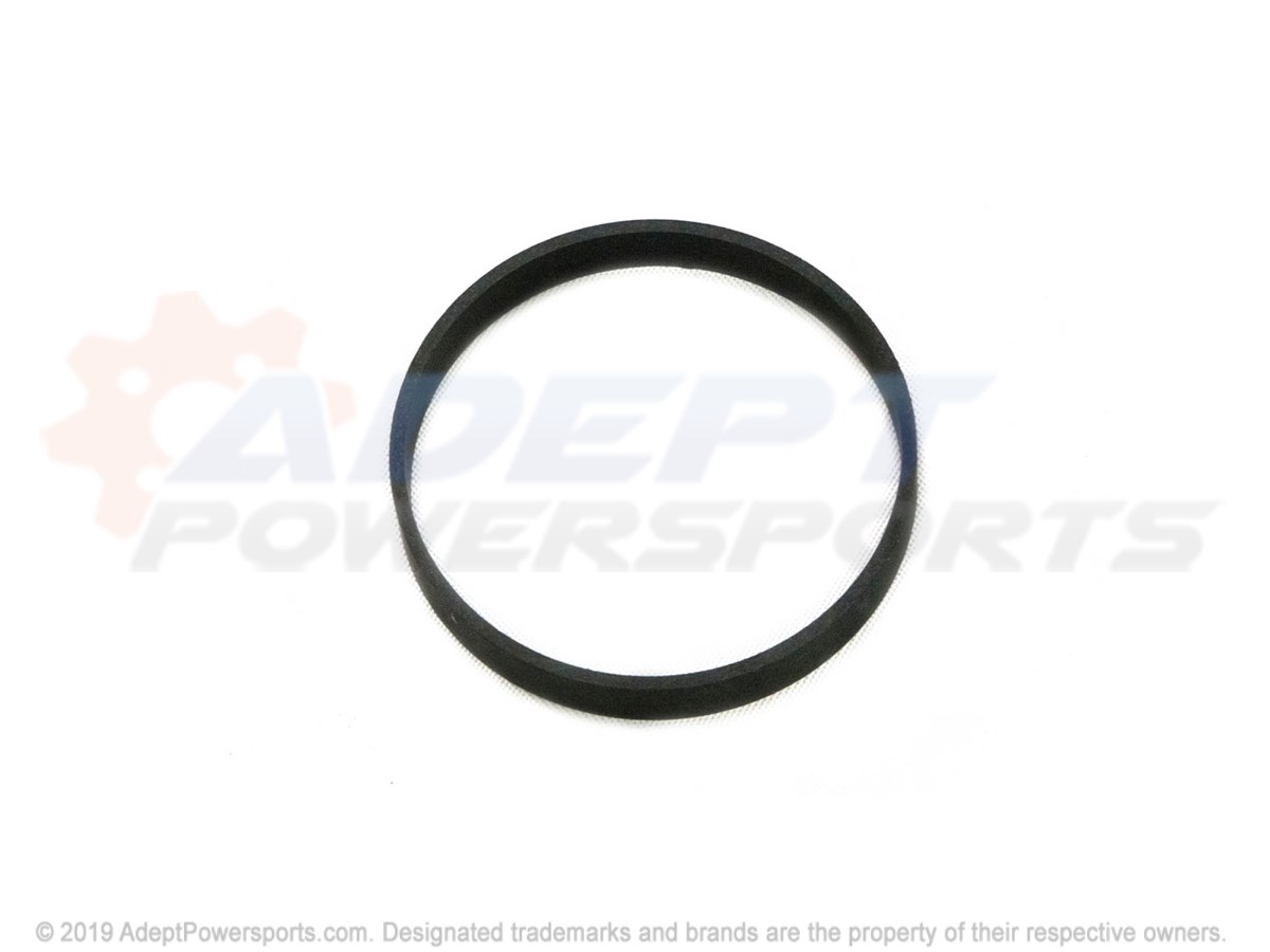 Polaris 1800509 Bank, Piston