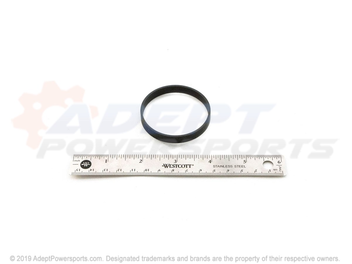 Polaris 1800509 Bank, Piston