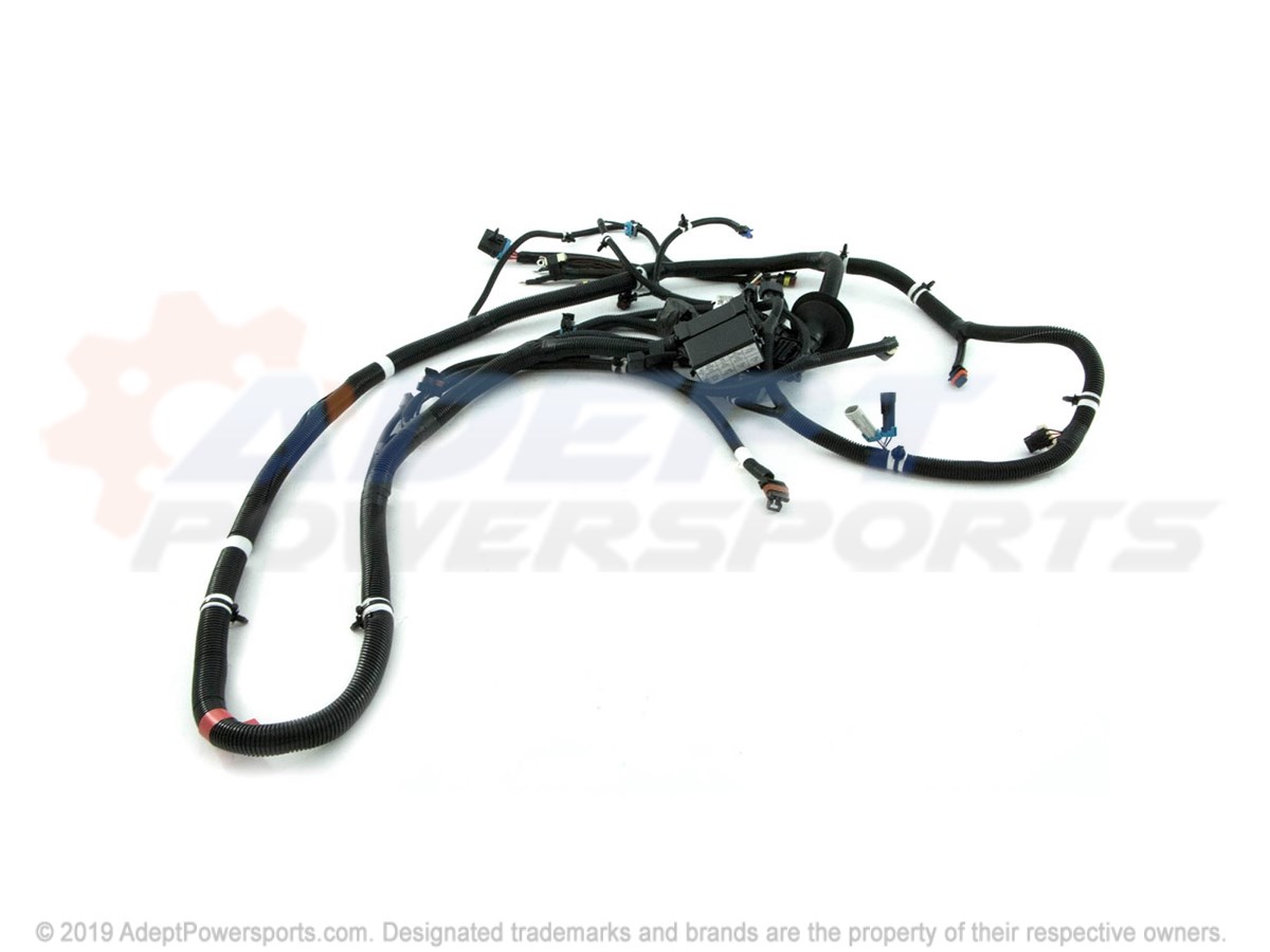 Polaris 2411749 Harness, Chassis, [Eal]