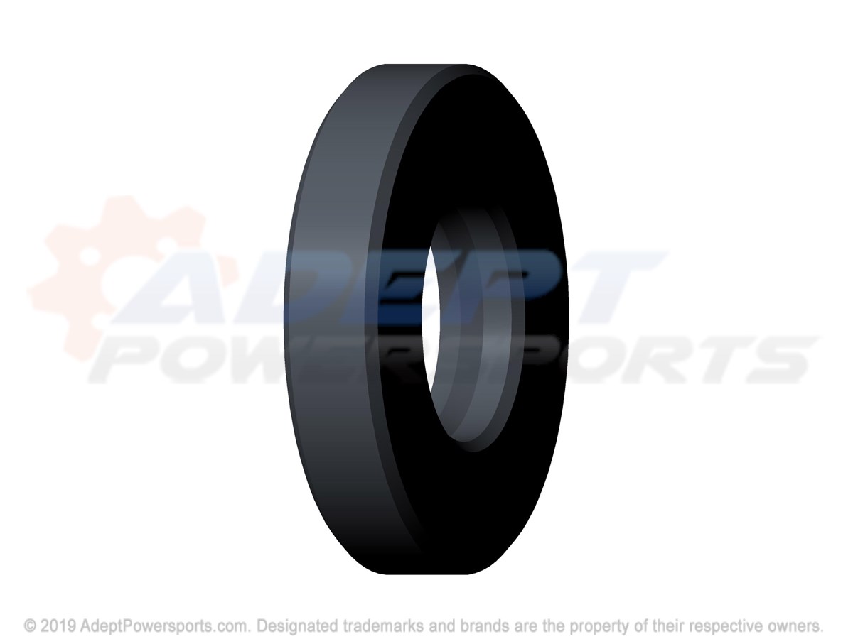 Polaris 5411197 Seal, Type, S