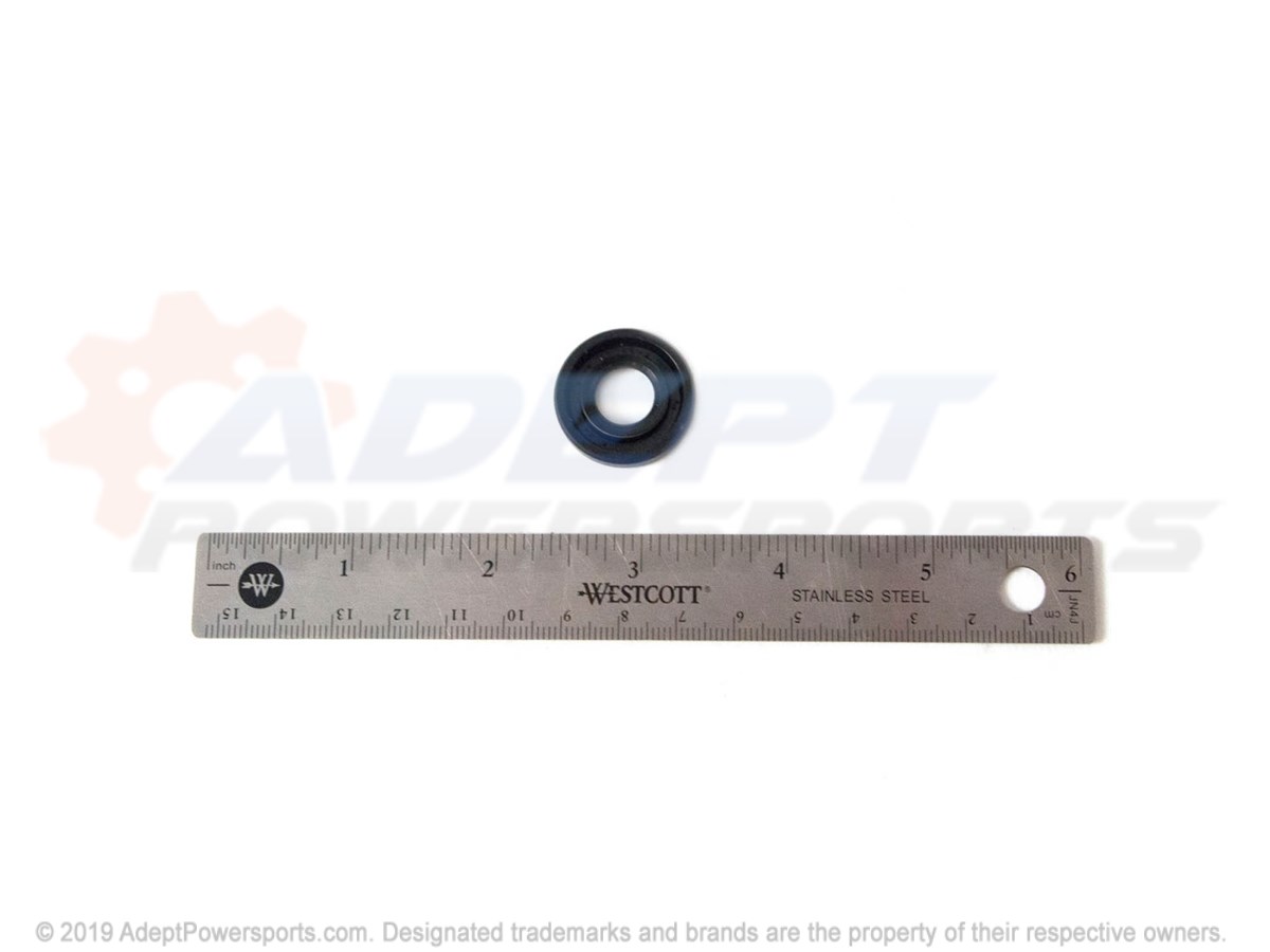 Polaris 5411197 Seal, Type, S