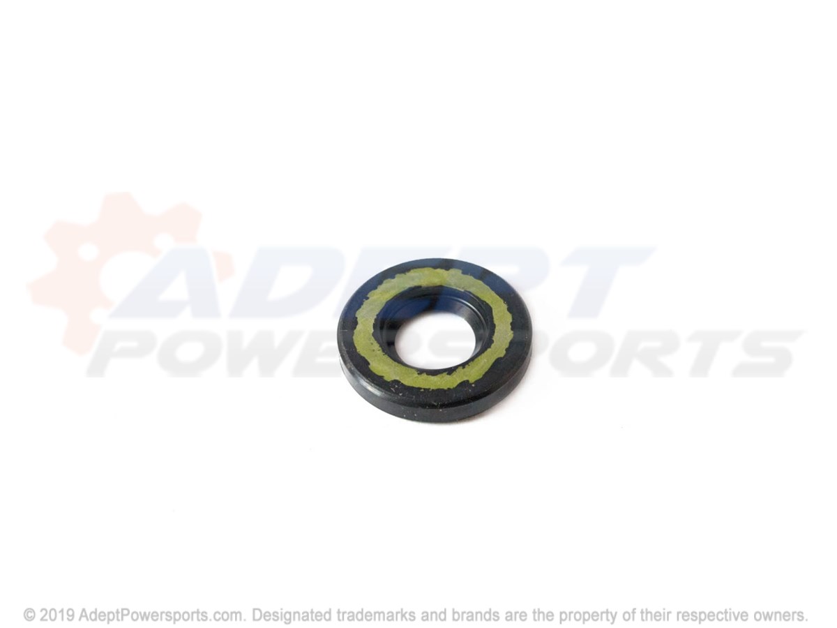 Polaris 5411197 Seal, Type, S