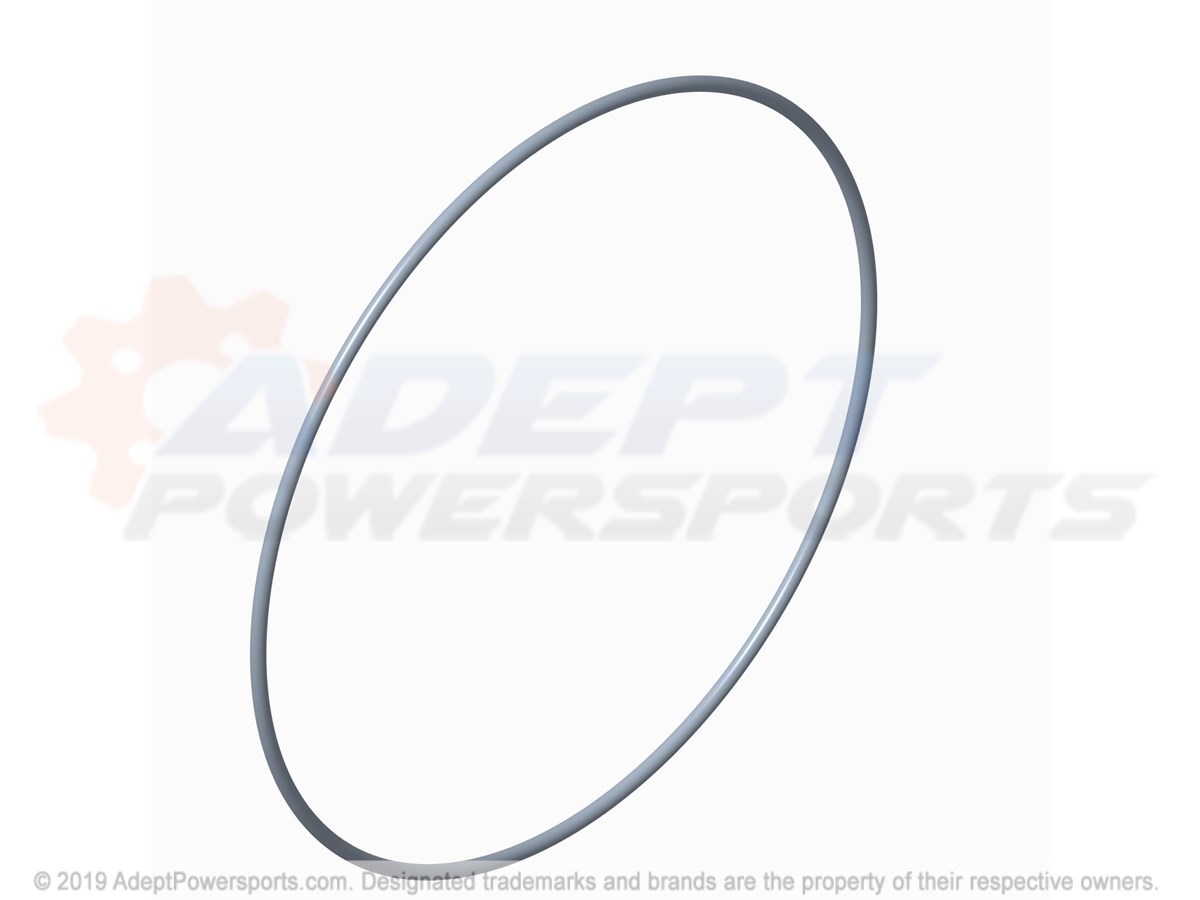 Polaris 5411675 O-Ring