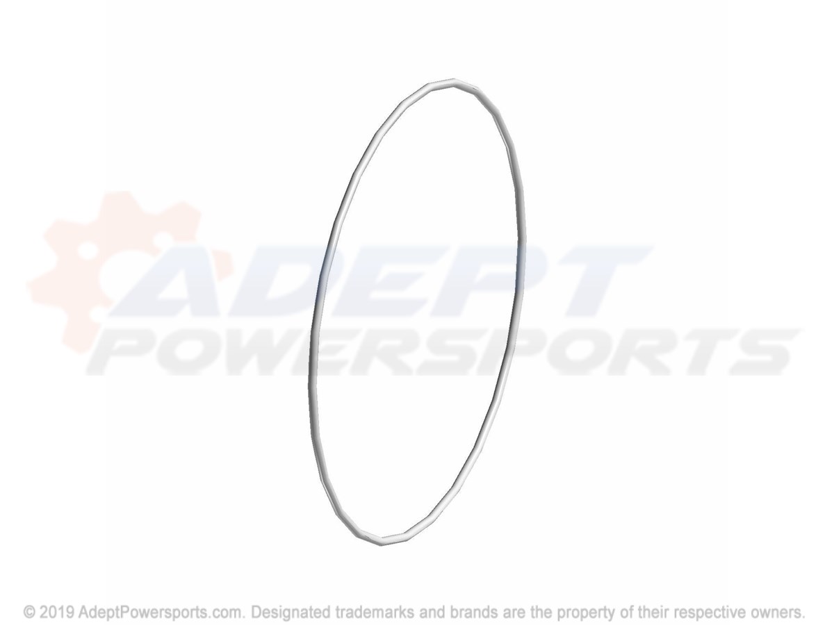 Polaris 5411675 O-Ring
