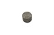 Polaris 5138477-465 Tappet, Valve, Graded, 4.650