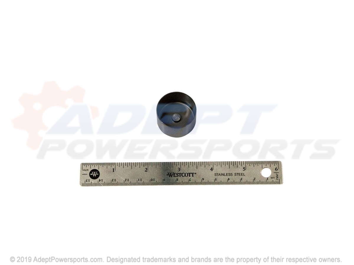 Polaris 5138477-482 Tappet, Valve, Graded, 4.825