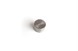 Polaris 5138477-498 Tappet, Valve, Graded, 4.975