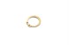 Polaris 3120550 Ring, Snap