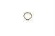 Polaris 3120549 Ring, Snap