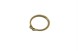 Polaris 3120549 Ring, Snap