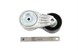 Polaris 3120002 Assembly, Tensioner, Belt