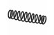Polaris 7044052-458 Spring, Matte, Black
