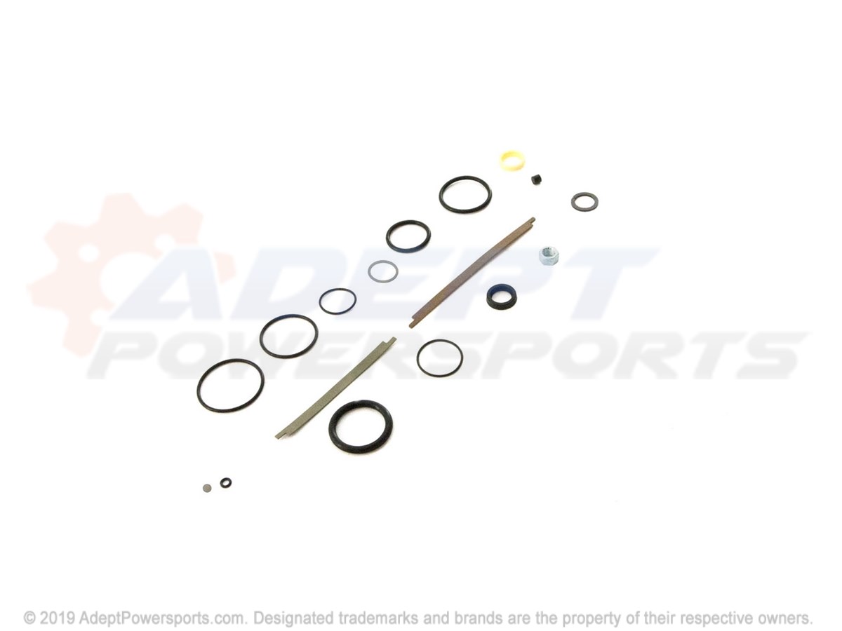 Polaris 1500916 Kit, Seal, Rebuild
